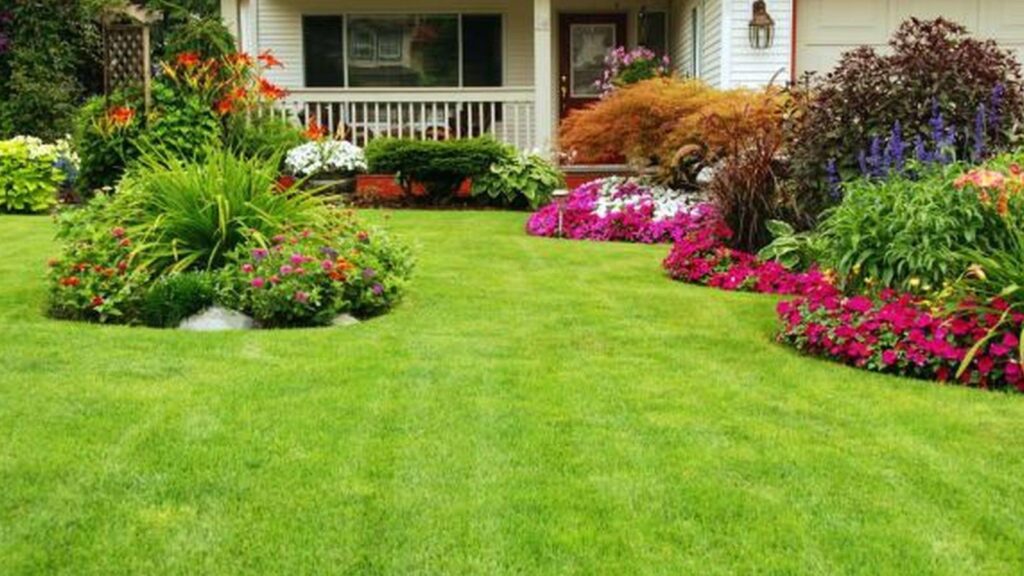 5 formas de cuidar tu jardín de casa 1 5 formas de cuidar tu jardín de casa