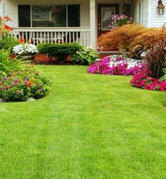 5 formas de cuidar tu jardín de casa