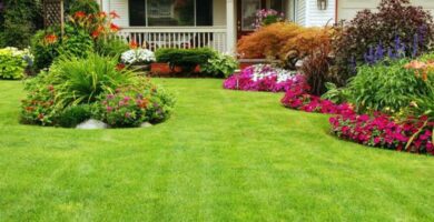 5 formas de cuidar tu jardín de casa 6 5 formas de cuidar tu jardín de casa